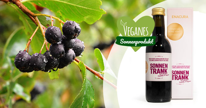 Sonnentrank für Veganer mit Aronia